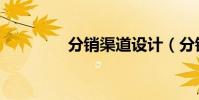分銷渠道設計(分銷渠道)