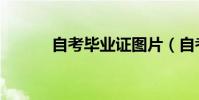 自考畢業證圖片(自考畢業證)