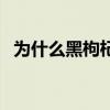為什么黑枸杞泡水是藍色 為什么黑范佩西 