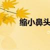 縮小鼻頭7個實用方法（縮小鼻頭）