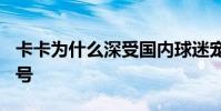 卡卡為什么深受國內球迷寵愛 卡卡為什么 22號