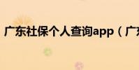 廣東社保個人查詢app(廣東社保個人查詢)