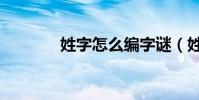 姓字怎么編字謎(姓字筆順)