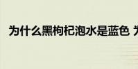 為什么黑枸杞泡水是藍色 為什么黑范佩西