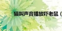 貓叫聲音播放嚇老鼠(貓叫聲音)