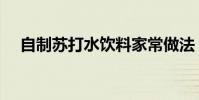 自制蘇打水飲料家常做法(自制蘇打水)