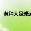 黃種人足球運動員 為什么黃種人足球不行 