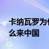 卡納瓦羅為什么用魯能金敬道 卡納瓦羅為什么來中國 