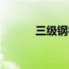三級鋼符號標志（三級鋼符號）