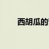 西胡瓜的營養價值和功效（西胡瓜）