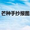 芒種手抄報圖片大全簡單漂亮（芒種手抄報）