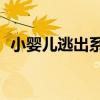小嬰兒逃出系列3答案（小嬰兒逃出系列3）