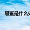 黑鯊是什么處理器 黑鯊6搭載什么處理器 