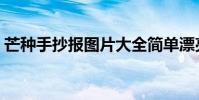 芒種手抄報圖片大全簡單漂亮(芒種手抄報)