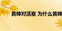 黃蜂對活塞 為什么黃蜂活塞關注度