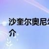 沙奎爾奧尼爾個人簡介 沙奎爾奧尼爾個人簡介 