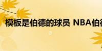 模板是伯德的球員 NBA伯德個人資料簡介