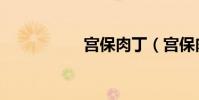 宮保肉丁(宮保肉丁)