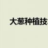 大蔥種植技術視頻教程（大蔥種植技術）