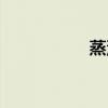 蒸汽地窖（蒸汽地窖）