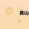 黃山美食攻略（黃山美食）