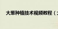 大蔥種植技術視頻教程(大蔥種植技術)