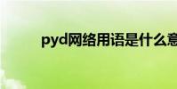 pyd網絡用語是什么意思(pyd)