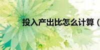 投入產出比怎么計算(投入產出)