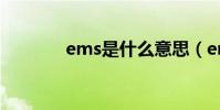 ems是什么意思(ems速度)