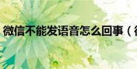 微信不能發語音怎么回事(微信不能發語音)