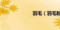 羽毛(羽毛粉)
