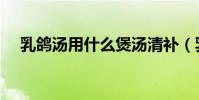 乳鴿湯用什么煲湯清補(乳鴿湯的做法)