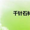 千針石林礦點分布圖（千針石林）