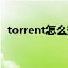 torrent怎么變成視頻（torrent怎么打開）