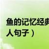 魚的記憶經典句子感人（關于魚的記憶經典感人句子）