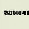 散打規則與自由搏擊規則區別（散打規則）