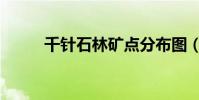 千針石林礦點分布圖(千針石林)