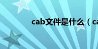 cab文件是什么(cab文件)