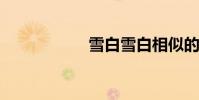 雪白雪白相似的文字