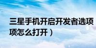 三星手機開啟開發者選項(三星E7開發者選項怎么打開)