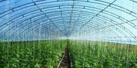 促進農業農村生態環境持續改善 涂覆型農膜產品安全性不容忽視