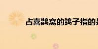 占喜鵲窩的鴿子指的是什么鳥?