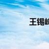 王錫峰（關于王錫峰的介紹）