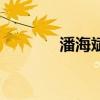 潘海斌（關于潘海斌的介紹）