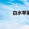白水蘋果（關于白水蘋果的介紹）