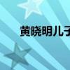 黃曉明兒子（關于黃曉明兒子的介紹）