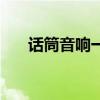 話筒音響一體麥克風排名（話筒驅動）