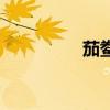 茄鲞（關于茄鲞的介紹）