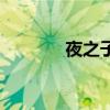 夜之子（關于夜之子的介紹）