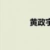 黃政宇（關于黃政宇的介紹）